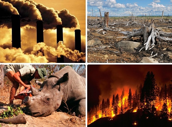 5 cuộc Đại Tuyệt chủng đáng sợ trong lịch sử Trái đất 13