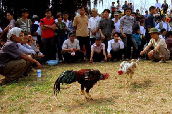 Những trò chơi dân gian "bá đạo" trong ngày Tết 4