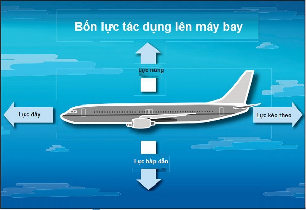 Cách máy bay hoạt động khiến "người rơi từ trên trời xuống đất" 1