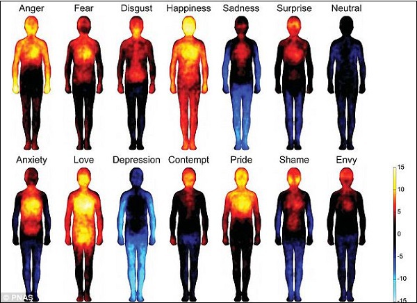 Hình ảnh cho thấy ảnh hưởng của cảm xúc tới cơ thể 1