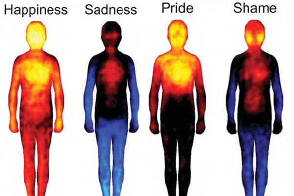 Hình ảnh cho thấy ảnh hưởng của cảm xúc tới cơ thể 2