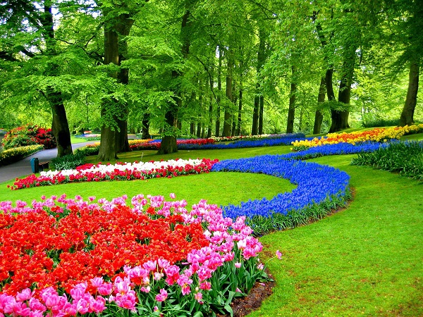 Đầu xuân đi ngắm "vườn hoa địa đàng" vòng quanh thế giới 9