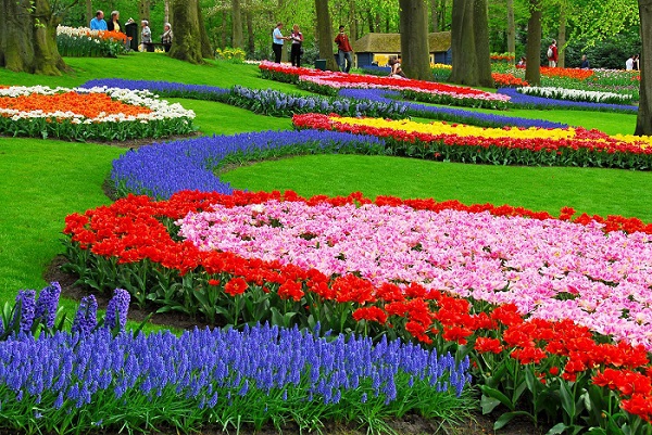 Đầu xuân đi ngắm "vườn hoa địa đàng" vòng quanh thế giới 10