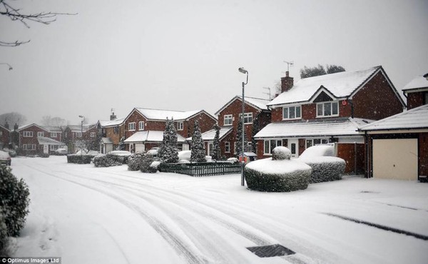 Anh: Mùa xuân lạnh nhất trong vòng 50 năm, 5.000 người tử vong 4