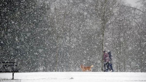 Anh: Mùa xuân lạnh nhất trong vòng 50 năm, 5.000 người tử vong 16