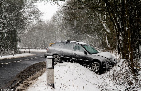 Anh: Mùa xuân lạnh nhất trong vòng 50 năm, 5.000 người tử vong 14