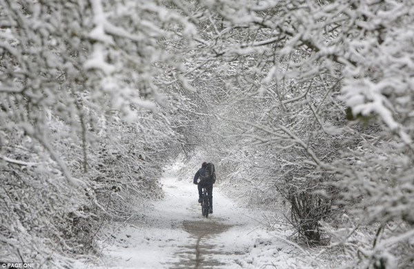 Anh: Mùa xuân lạnh nhất trong vòng 50 năm, 5.000 người tử vong 12