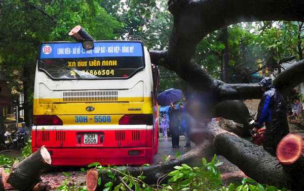Cây đổ đè bẹp xe buýt đang chạy khiến phố Hà Nội tắc dài nhiều giờ trong mưa 7
