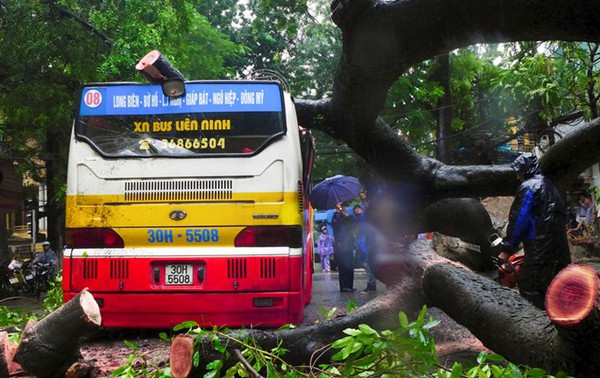 C&acirc;y đổ đ&egrave; bẹp xe bu&yacute;t đang chạy khiến phố H&agrave; Nội tắc d&agrave;i nhiều giờ trong mưa 7