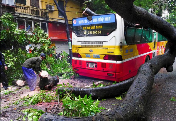 Cây đổ đè bẹp xe buýt đang chạy khiến phố Hà Nội tắc dài nhiều giờ trong mưa 9