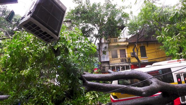 Cây đổ đè bẹp xe buýt đang chạy khiến phố Hà Nội tắc dài nhiều giờ trong mưa 5