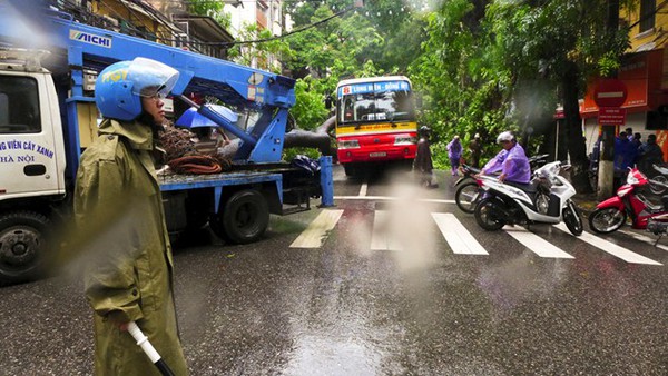 Cây đổ đè bẹp xe buýt đang chạy khiến phố Hà Nội tắc dài nhiều giờ trong mưa 8