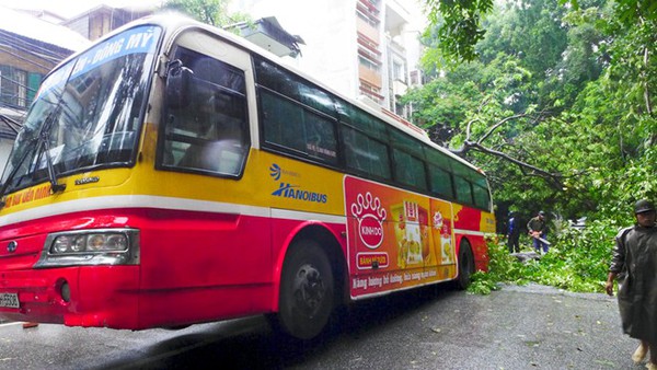 Cây đổ đè bẹp xe buýt đang chạy khiến phố Hà Nội tắc dài nhiều giờ trong mưa 3