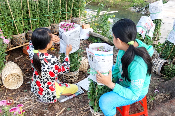 Làng hoa Sa Đéc tuyệt đẹp nhộn nhịp đón Xuân 21