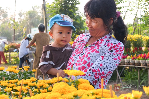 Làng hoa Sa Đéc tuyệt đẹp nhộn nhịp đón Xuân 24