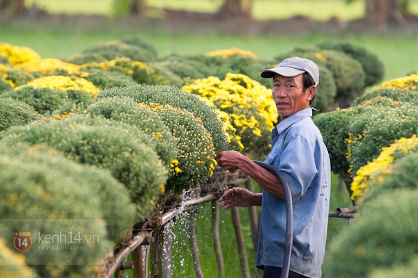 Làng hoa Sa Đéc tuyệt đẹp nhộn nhịp đón Xuân 2