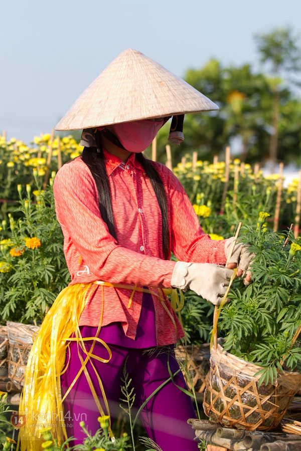 Làng hoa Sa Đéc tuyệt đẹp nhộn nhịp đón Xuân 14