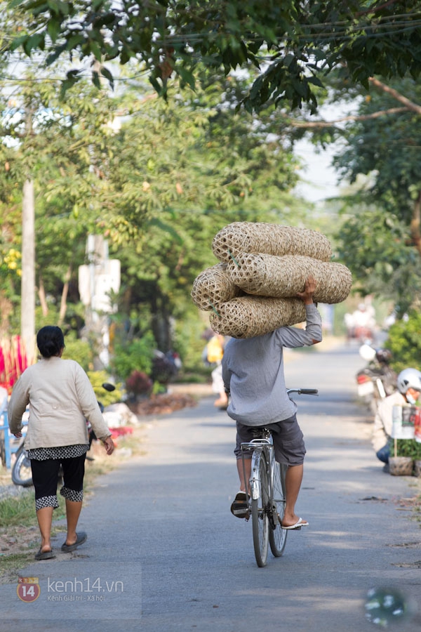 Làng hoa Sa Đéc tuyệt đẹp nhộn nhịp đón Xuân 11