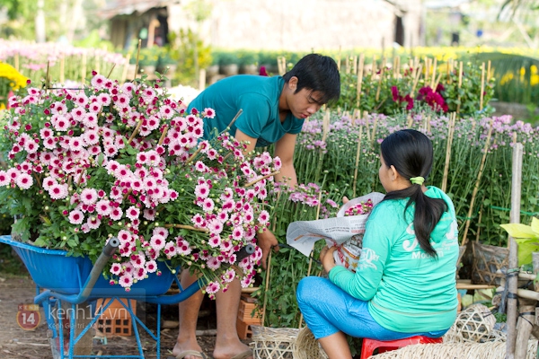 Làng hoa Sa Đéc tuyệt đẹp nhộn nhịp đón Xuân 18