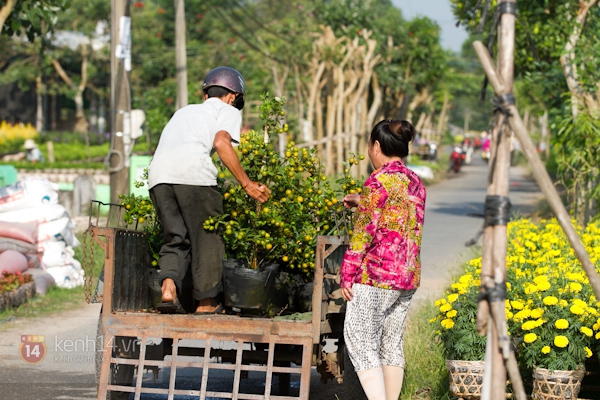 Làng hoa Sa Đéc tuyệt đẹp nhộn nhịp đón Xuân 33