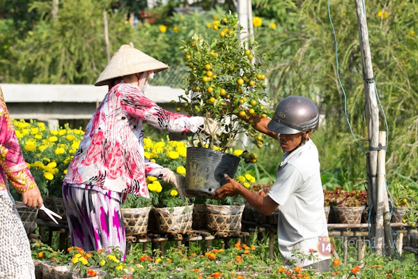 Làng hoa Sa Đéc tuyệt đẹp nhộn nhịp đón Xuân 34