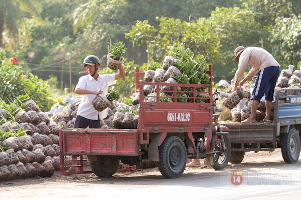 Làng hoa Sa Đéc tuyệt đẹp nhộn nhịp đón Xuân 36