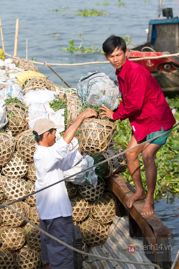 Làng hoa Sa Đéc tuyệt đẹp nhộn nhịp đón Xuân 26