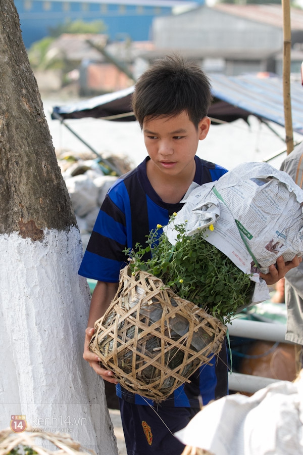 Làng hoa Sa Đéc tuyệt đẹp nhộn nhịp đón Xuân 30