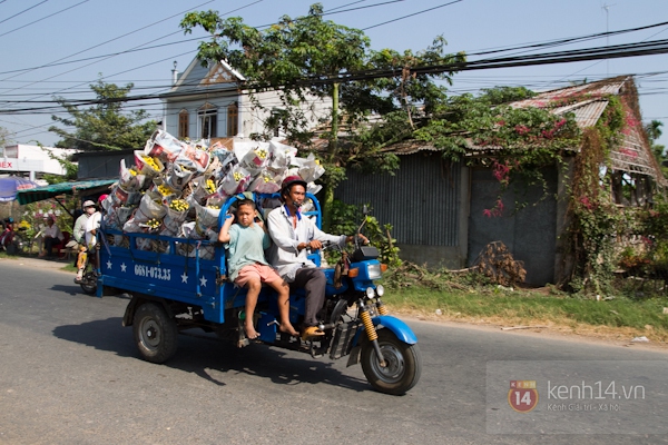 Làng hoa Sa Đéc tuyệt đẹp nhộn nhịp đón Xuân 37