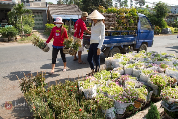 Làng hoa Sa Đéc tuyệt đẹp nhộn nhịp đón Xuân 38