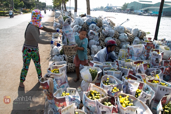 Làng hoa Sa Đéc tuyệt đẹp nhộn nhịp đón Xuân 40