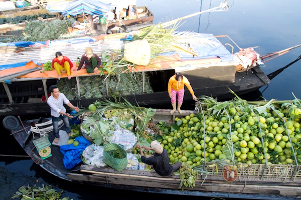 Hội hoa xuân lênh đênh trên sông ở Sài Gòn 17