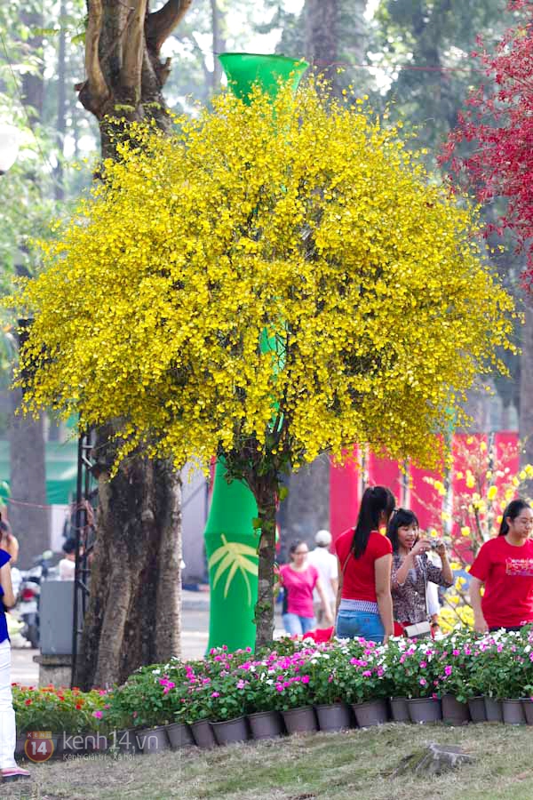 Hội hoa xuân lênh đênh trên sông ở Sài Gòn 38