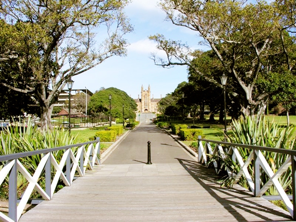 Vẻ đẹp của khu vườn cổ trong khuôn viên Đại học Sydney 1