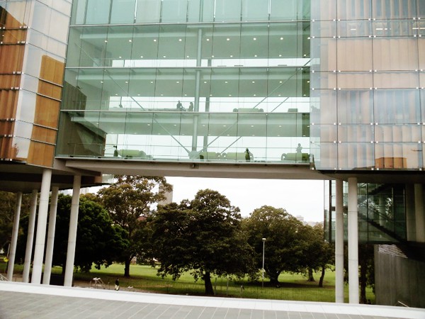 Vẻ đẹp của khu vườn cổ trong khu&ocirc;n vi&ecirc;n Đại học Sydney 8