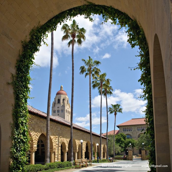 Stanford - Ngôi trường danh giá của các ngôi sao Hollywood 16