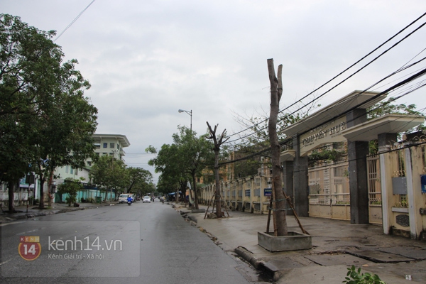 Đường phố Đà Nẵng vắng vẻ, người dân tranh thủ gia cố lại nhà trước siêu bão Haiyan 22
