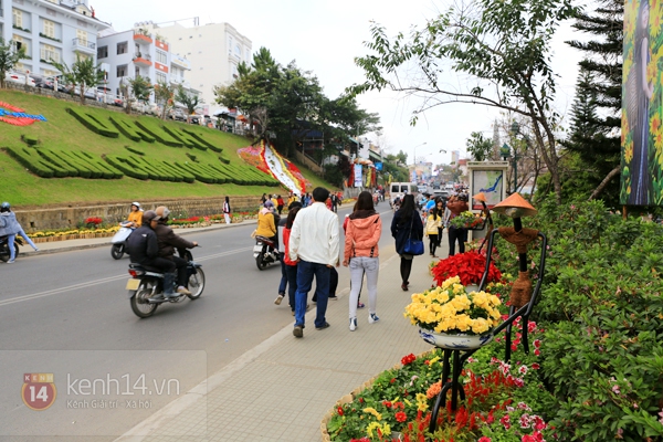 "Biển người" đổ về Đà Lạt tham dự Festival hoa năm 2013 3