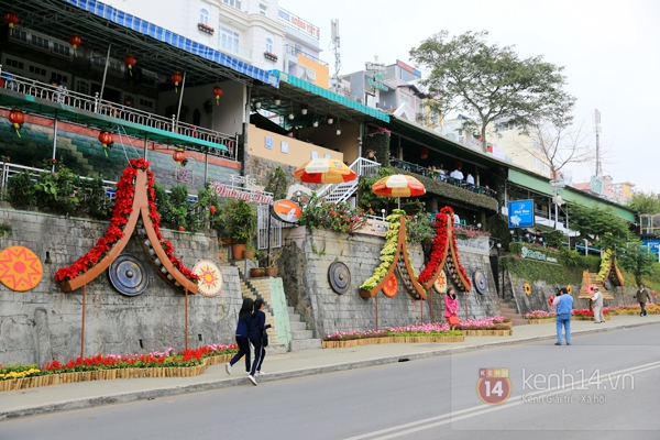 "Biển người" đổ về Đà Lạt tham dự Festival hoa năm 2013 5