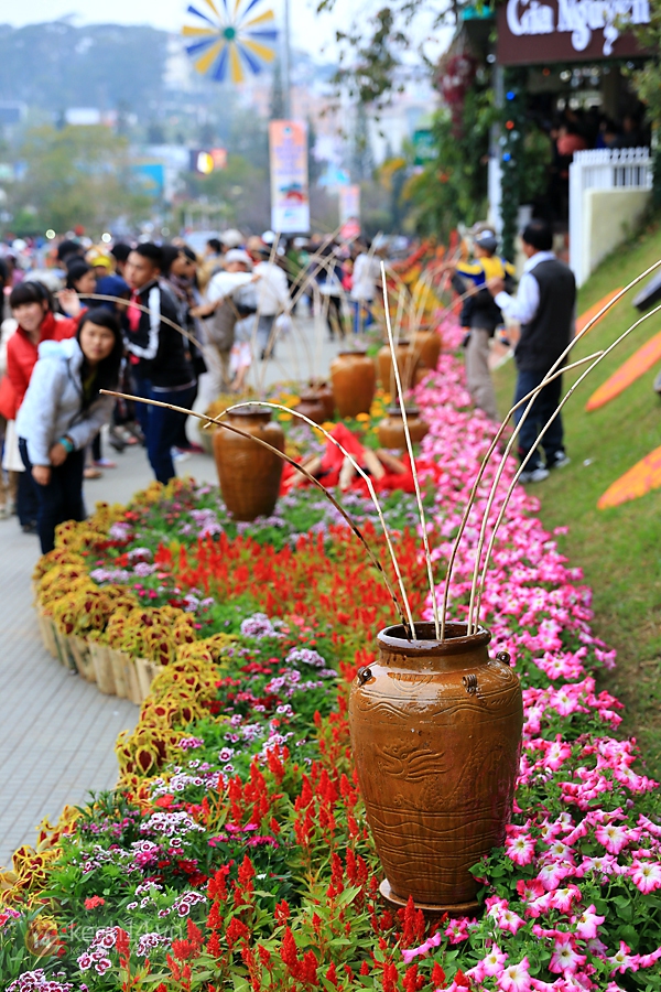 "Biển người" đổ về Đà Lạt tham dự Festival hoa năm 2013 9