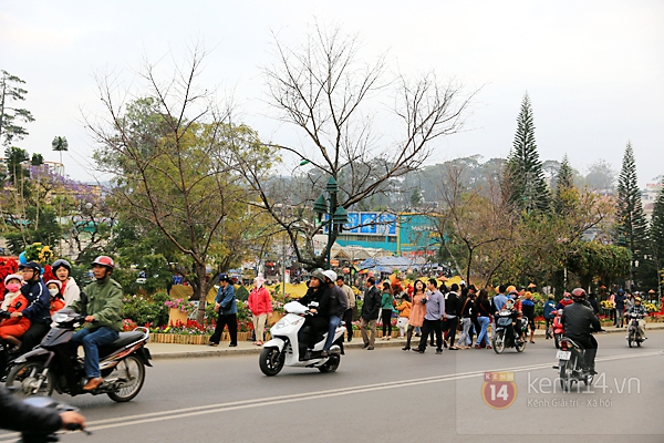 "Biển người" đổ về Đà Lạt tham dự Festival hoa năm 2013 11