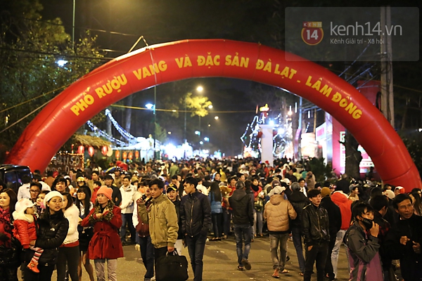 "Biển người" đổ về Đà Lạt tham dự Festival hoa năm 2013 19