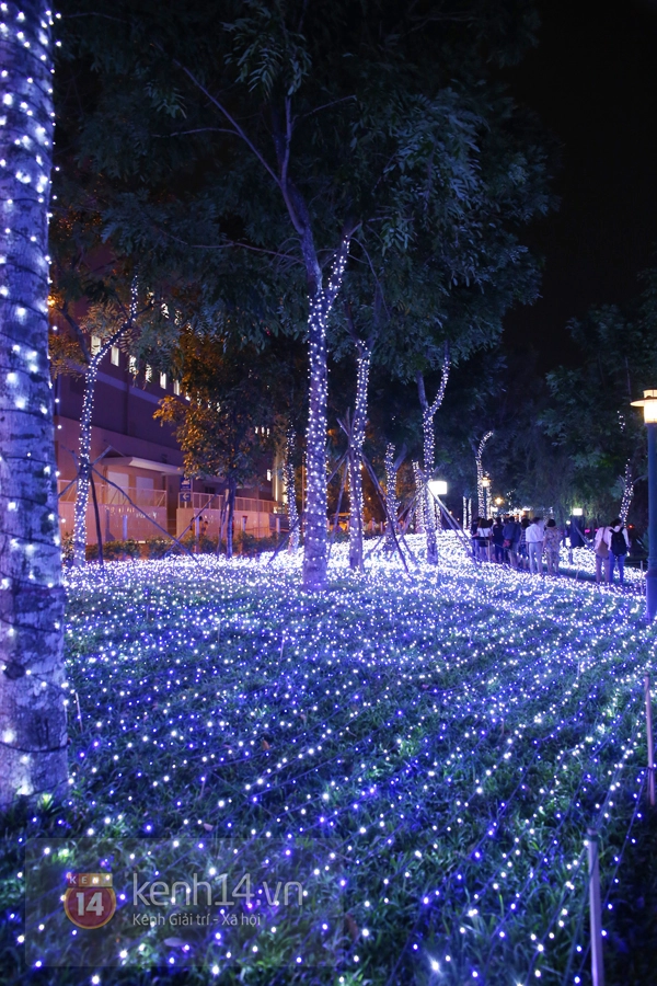 Sài Gòn: Ngỡ ngàng ngắm công viên sáng rực trong đêm với nửa triệu bóng đèn Led 30