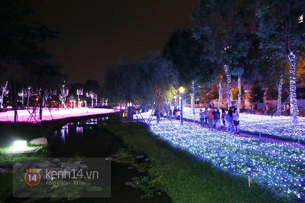 Sài Gòn: Ngỡ ngàng ngắm công viên sáng rực trong đêm với nửa triệu bóng đèn Led 7