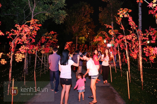 Sài Gòn: Ngỡ ngàng ngắm công viên sáng rực trong đêm với nửa triệu bóng đèn Led 25