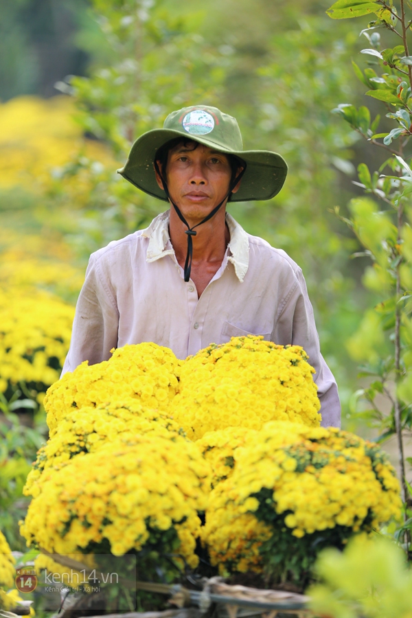 Đẹp tuyệt vời làng hoa Sa Đéc nổi tiếng miền Tây Nam Bộ 7