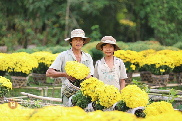 Đẹp tuyệt vời làng hoa Sa Đéc nổi tiếng miền Tây Nam Bộ 8