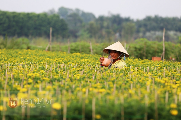 Đẹp tuyệt vời làng hoa Sa Đéc nổi tiếng miền Tây Nam Bộ 23