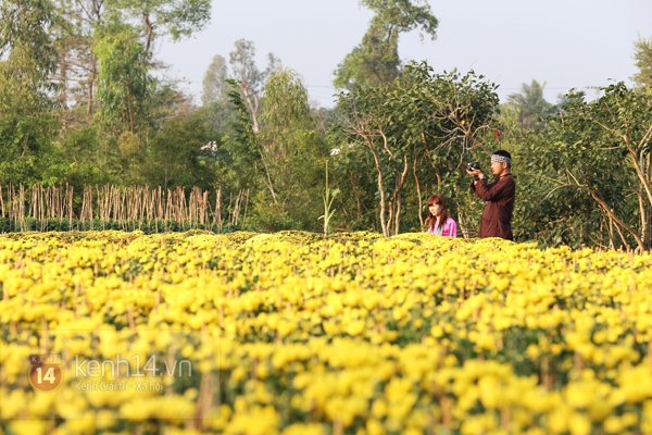 Đẹp tuyệt vời làng hoa Sa Đéc nổi tiếng miền Tây Nam Bộ 14