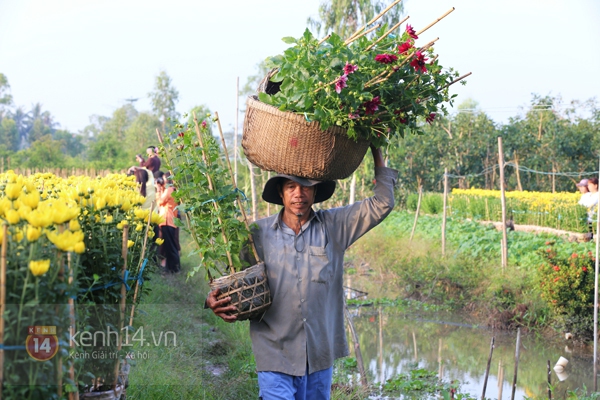 Đẹp tuyệt vời làng hoa Sa Đéc nổi tiếng miền Tây Nam Bộ 15